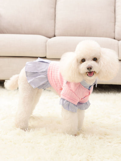 Ropa Delgada para Perros Pequeños - Abrigo Trendy Otoño Invierno