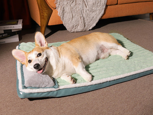Cama Térmica Acogedora para Perros y Gatos - Colchoneta Cálida para Invierno - Image 13