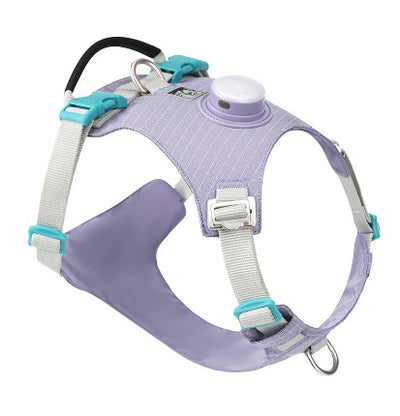 Arnés Pectoral para Perro con Luz LED Nocturna - Image 14
