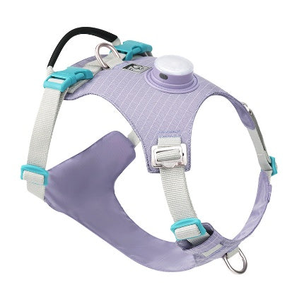 Arnés Pectoral para Perro con Luz LED Nocturna - Image 14