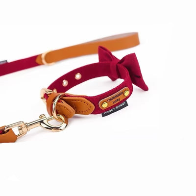 Collar de Cuero para Perro con Letras y Moño - Correa de Mano - Image 12