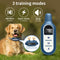 Collar Adiestramiento Perros con Control Remoto Vibración