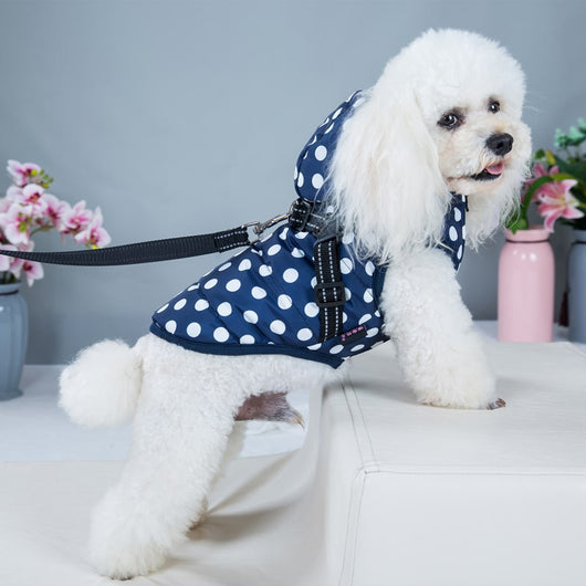 Abrigo Acolchado para Perros con Lunares y Forro de Felpa