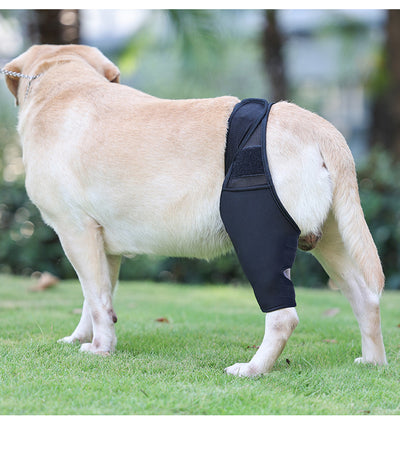 Rodillera Protectora para Perros - Soporte Articular y Recuperación Postoperatoria - Image 18