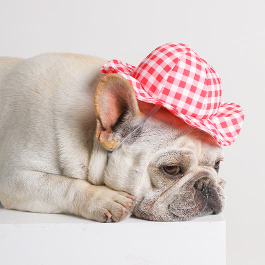 Gorra Plaid Protectora para Mascotas - Image 3