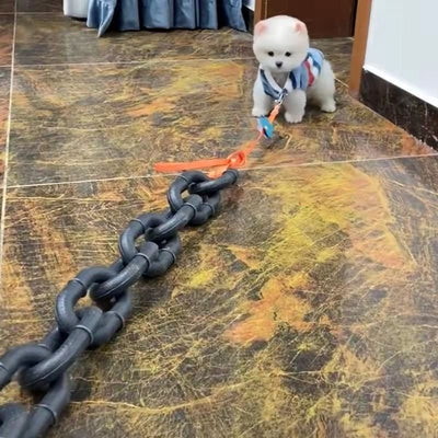 Correa para Perro Estilo Influencer - Accesorio Viral para Videos y Paseos - Image 4