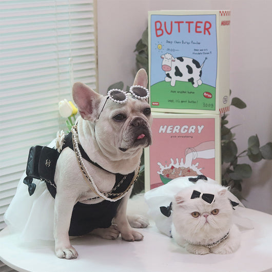 Falda Ligera de Verano para Gatos y Perros - Image 11