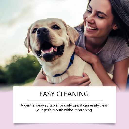 Spray Limpiador de Dientes para Mascotas - Image 18