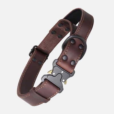 Arnés de Cuero Resistente con Cuerda de Tracción para Perros Grandes - Image 7