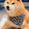 Pañoleta Triangular Shiba Inu para Mascotas