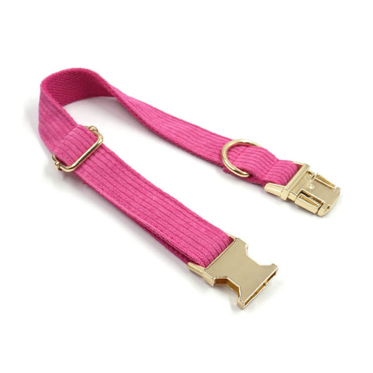 Collar para Perro de Pana Suave y Simple - Image 10