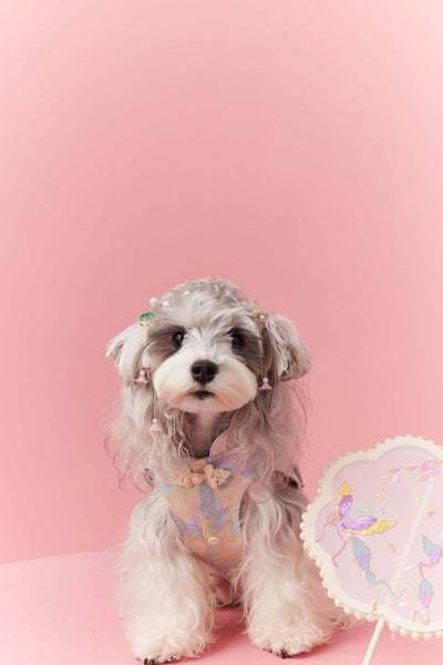 Chaleco Cheongsam Estilo Neo-Chino para Mascotas Pequeños - Schnauzer y Bichón - Image 25