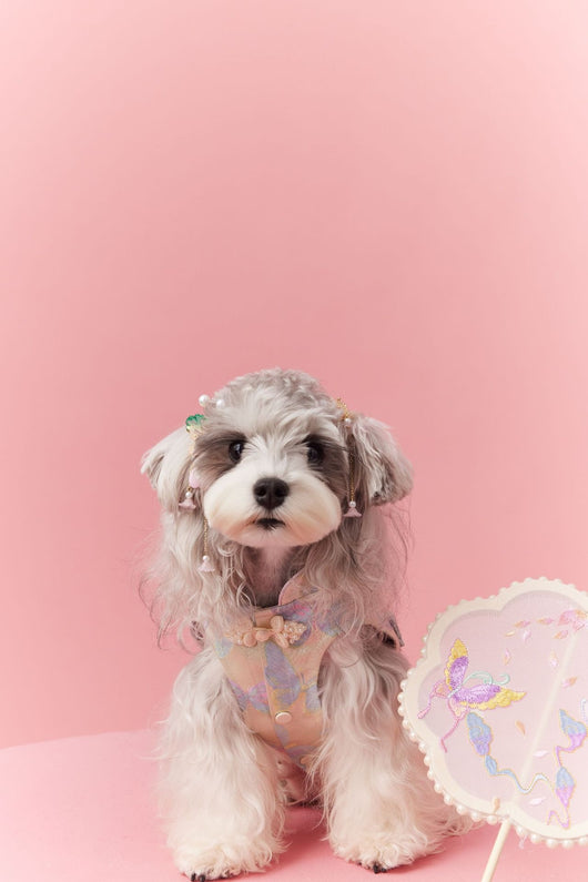 Chaleco Cheongsam Estilo Neo-Chino para Mascotas Pequeños - Schnauzer y Bichón - Image 25