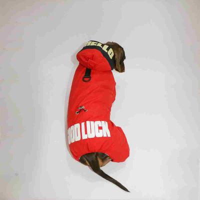 Abrigo Térmico para Mascotas - Ropa de Invierno para Perros y Gatos - Image 16