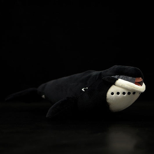 Muñeco de Ballena Boreal Adorable - Juguete Educativo Marino - Image 6