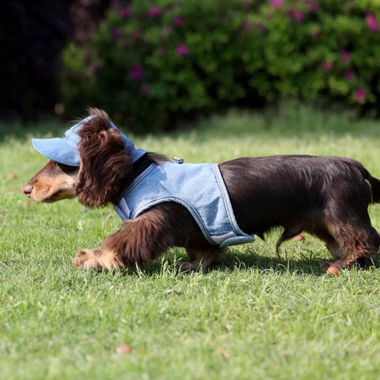 Sombrero Vaquero con Protección Solar para Mascotas