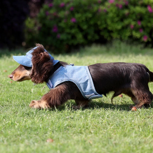 Sombrero Vaquero con Protección Solar para Mascotas