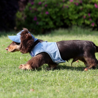 Sombrero Vaquero con Protección Solar para Mascotas