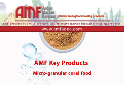 Alimento Micro Partículas para Peces Ornamentales y Corales de Fácil Absorción - Image 14