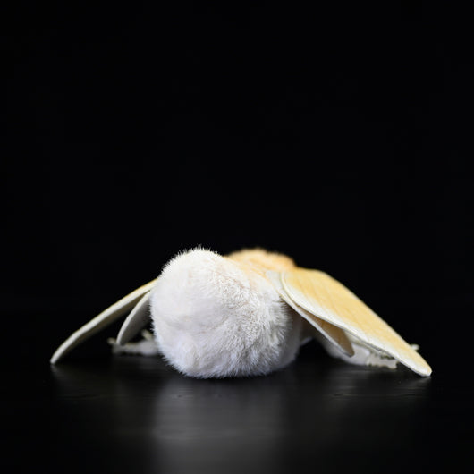 Peluche de Polilla Gusano de Seda - Muñeco Coleccionable de la Serie Insectos - Image 5