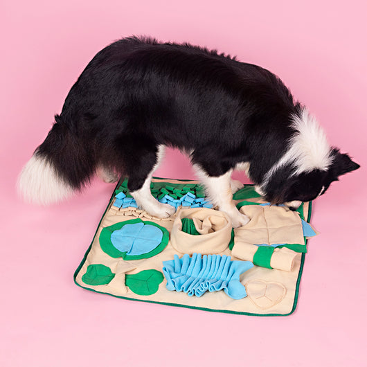 Tapete de Olfato para Perros - Juguete Interactivo de Búsqueda y Forrajeo - Image 5