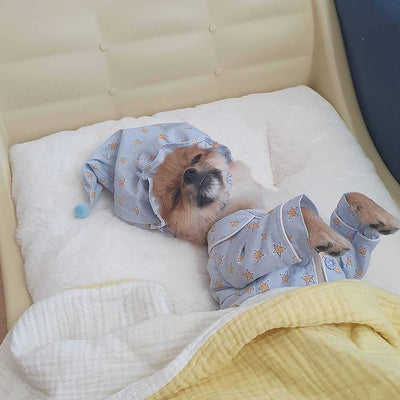 Pijama Estilo Blue Star para Perros - Ropa de Descanso Cómoda - Image 2
