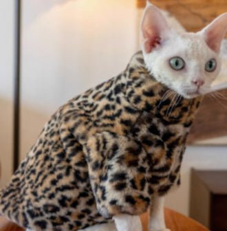 Ropa Térmica para Gatos sin Pelo - Abrigo Corto de Felpa Leopardo