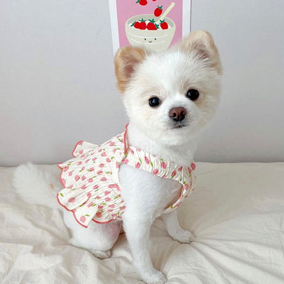 Falda Teddy Cachorro para Perro - Ropa Fresca de Verano - Image 12