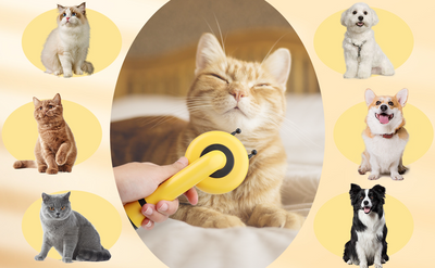 Cepillo Deslanador para Gatos en Forma de Abeja - Limpieza Automática y Masaje Suave - Image 11