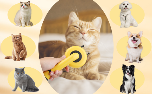 Cepillo Deslanador para Gatos en Forma de Abeja - Limpieza Automática y Masaje Suave - Image 11