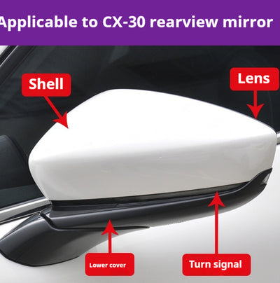 Carcasa de Espejo Retrovisor con Luz de Giro Integrada