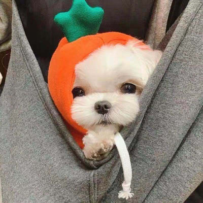 Sudadera con Capucha para Perros Pequeños - Abrigo Polar Verde Otoño Invierno - Image 24
