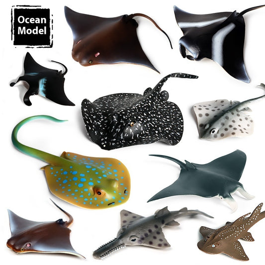 Juego Educativo de Animales Marinos Realistas para Niños