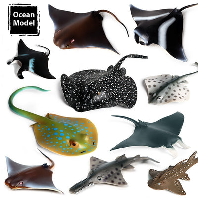 Juego Educativo de Animales Marinos Realistas para Niños