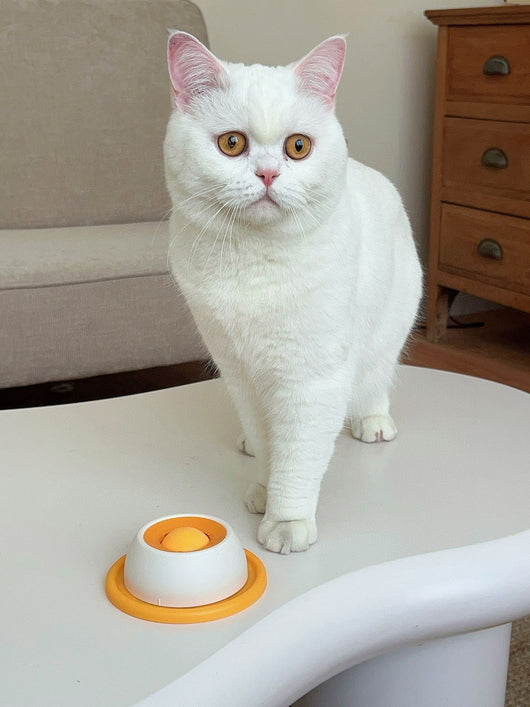 Juguete Comedero Antiderrame para Gatos - Dispensador de Premios Resistente - Image 14