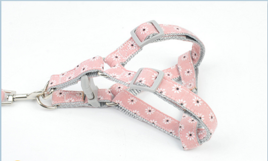 Arnés de Tracción Dual para Pasear Perros con Control Total - Image 16
