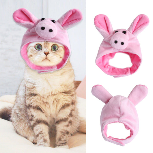 Gorro Rizado Divertido para Mascotas - Disfraz Cómico para Gatos y Perros - Image 21