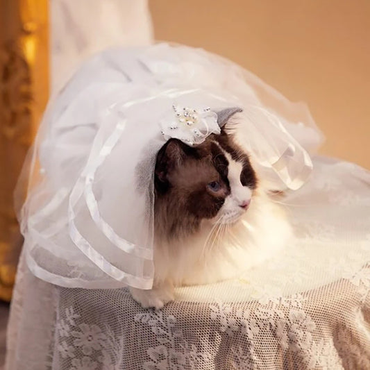 Accesorios de Moda para Mascotas: Diadema, Moño y Pasadores Decorativos
