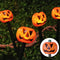 Round Pumpkin Solar Energy