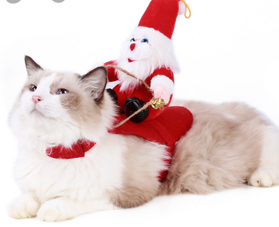 Disfraz Navideño para Perros - Papá Noel en Trineo - Image 13
