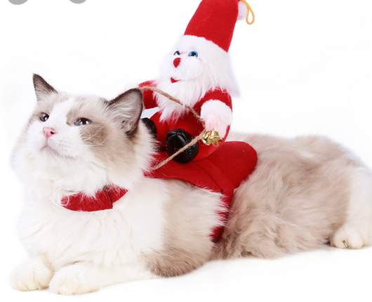 Disfraz Navideño para Perros - Papá Noel en Trineo - Image 13