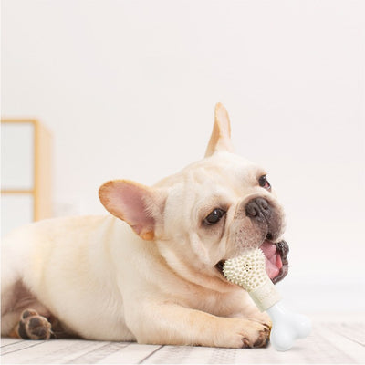 Juguete Masticable para Mascotas - Image 9