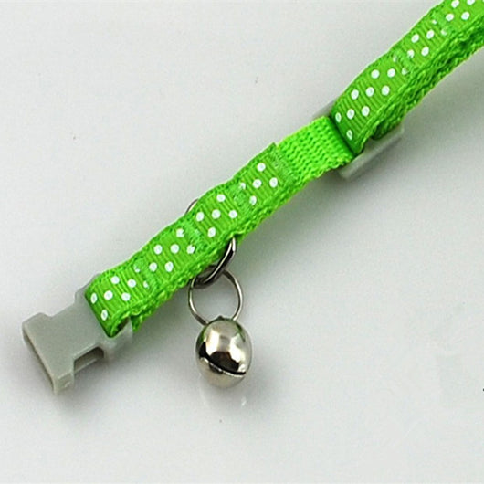 Collar Ajustable con Hebilla para Gatos y Perros - Image 3