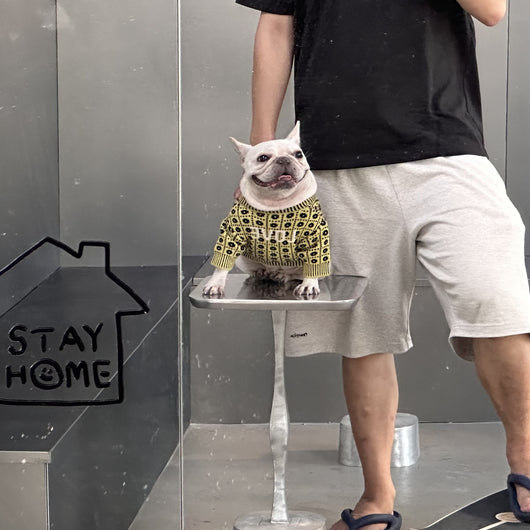 Suéter Abrigador para Perros y Gatos - Image 23