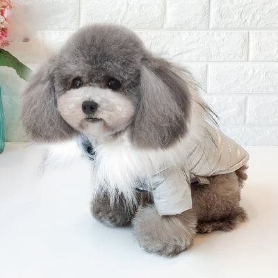 Ropa Térmica para Perros - Image 7