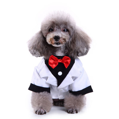 Traje Deportivo para Perros - Image 22