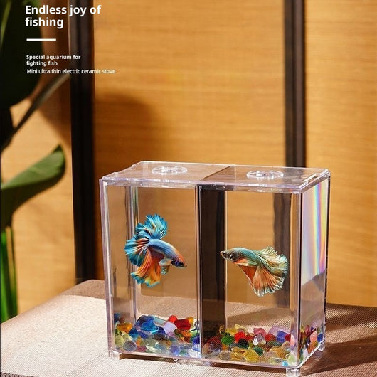 Acuario de Bloques Acrílico Reforzado para Escritorio con Decoración Natural - Image 4