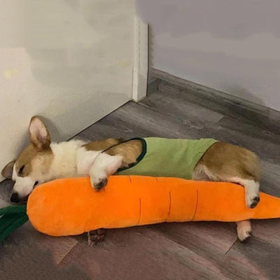 Juguete Masticable de Zanahoria Suave con Sonido Chirriante para Perros - Image 6