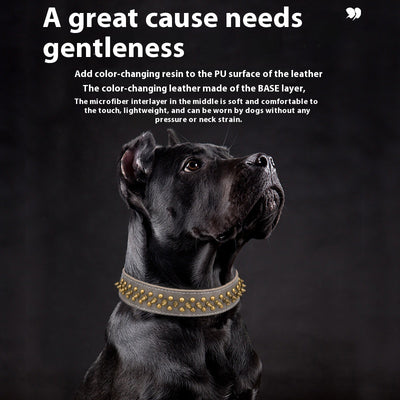 Collar de Cuero para Mascotas con Remaches - Tallas Mediana y Grande