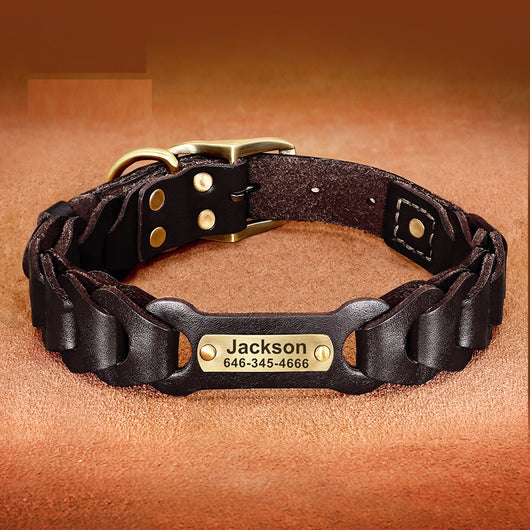 Collar de Cuero Trenzado para Perros Medianos y Grandes - Image 13
